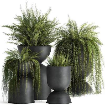 现代绿植盆栽盆景